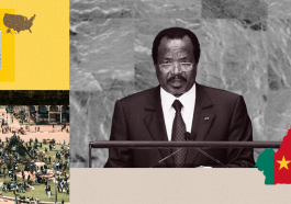 How One Policy in Cameroon Is Reshaping Regional Power