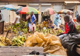 How Cameroon’s New Law Could Impact Global Trade