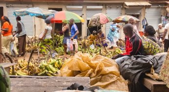 How Cameroon’s New Law Could Impact Global Trade